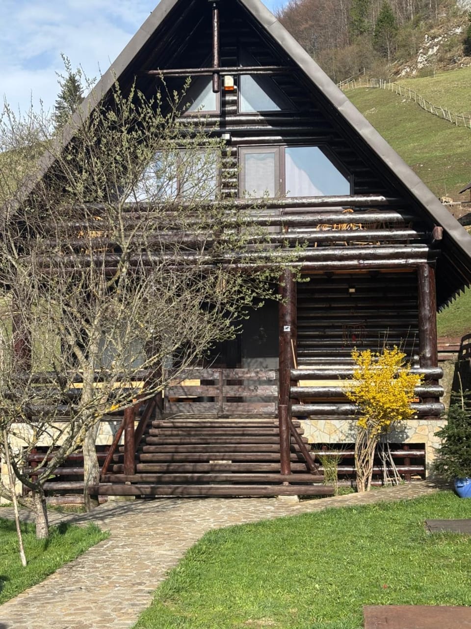 A Hunter's Lodge Chalet in Brașov County
