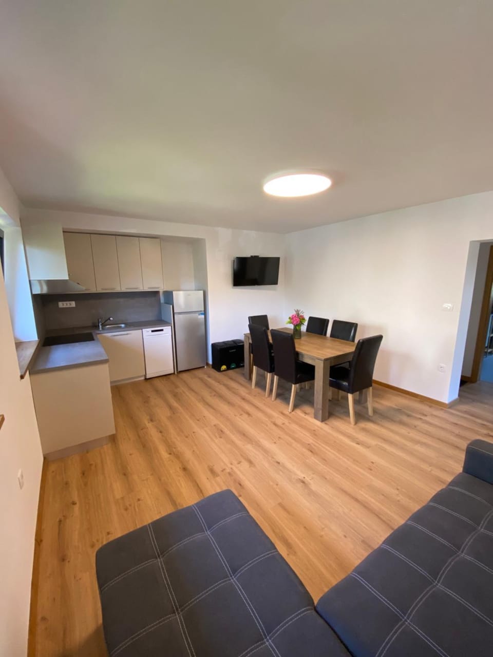 TV and multimedia, Kitchen or kitchenette, Living room, Seating area, Dining area, oven