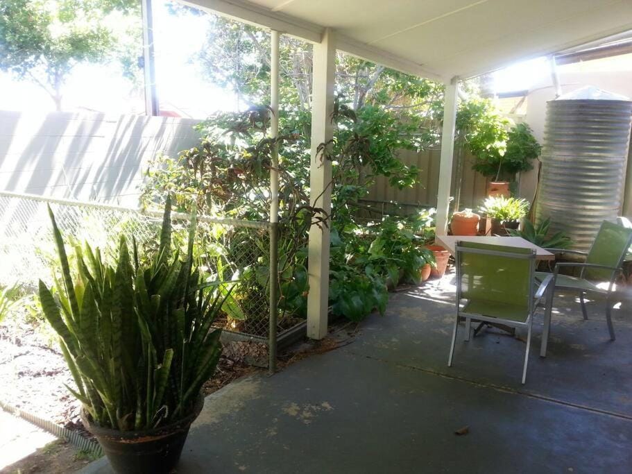 Comfortable and Spacious Studio Apartment in Adelaide