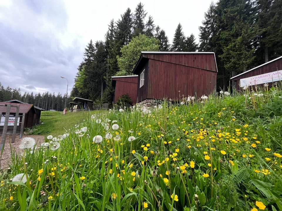 Property building, Spring, Day, Natural landscape, Garden, Garden view