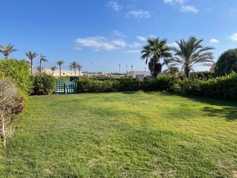 Spring, Day, Natural landscape, Garden, Garden view