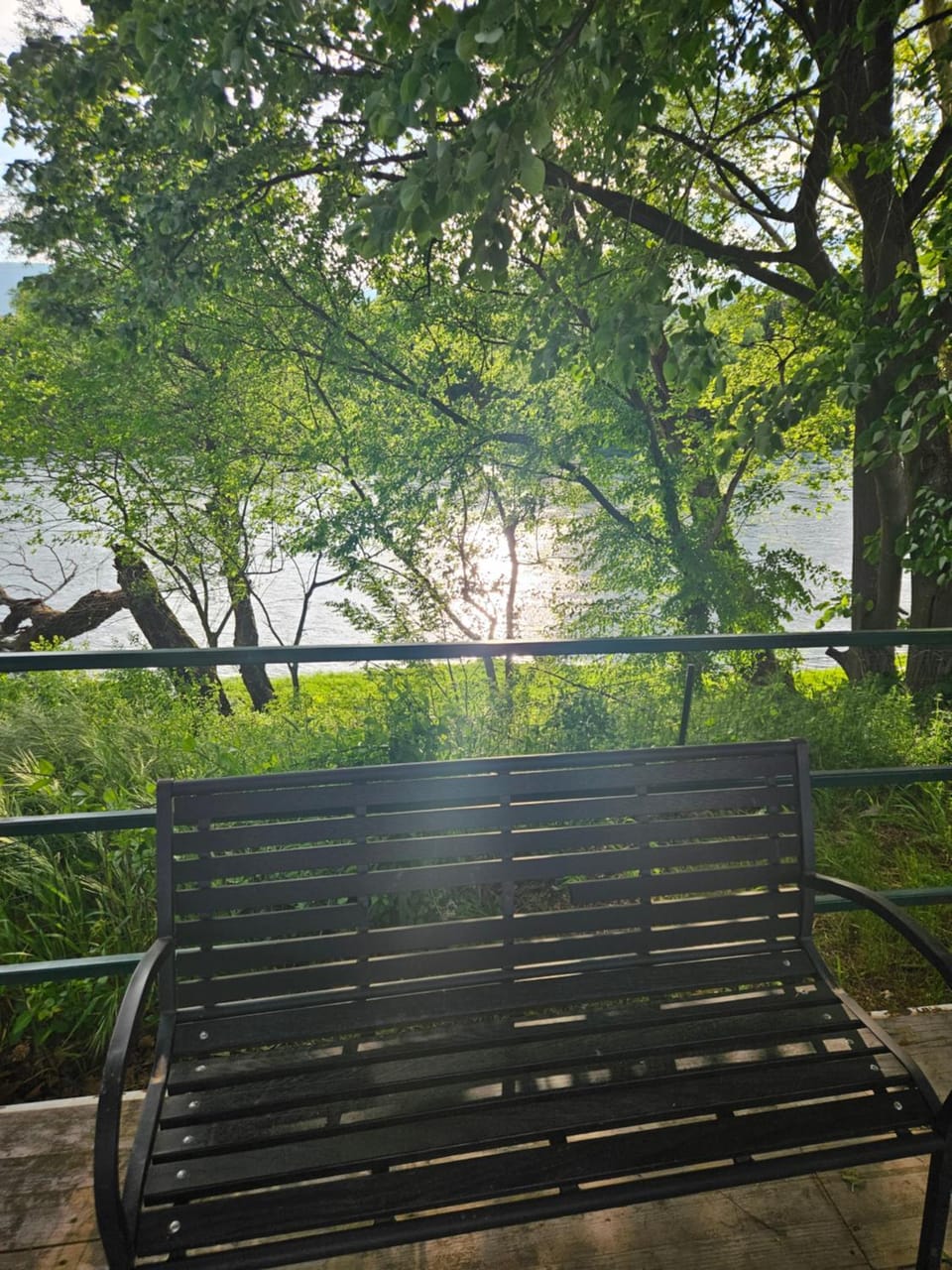 Natural landscape, River view