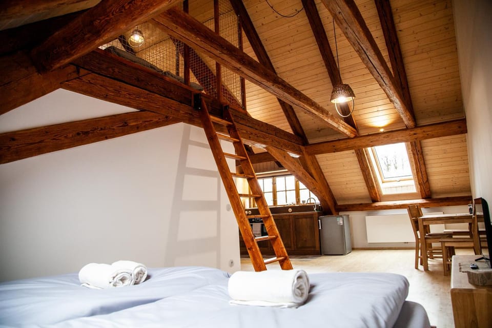 Apartmány Temechov Apartment in Czechia