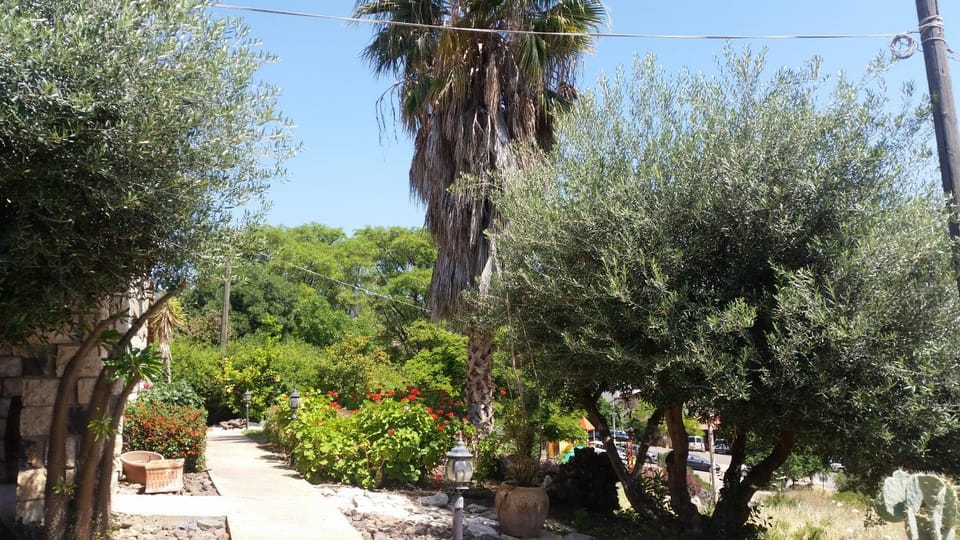 Spring, Day, On site, Garden view, Garden view