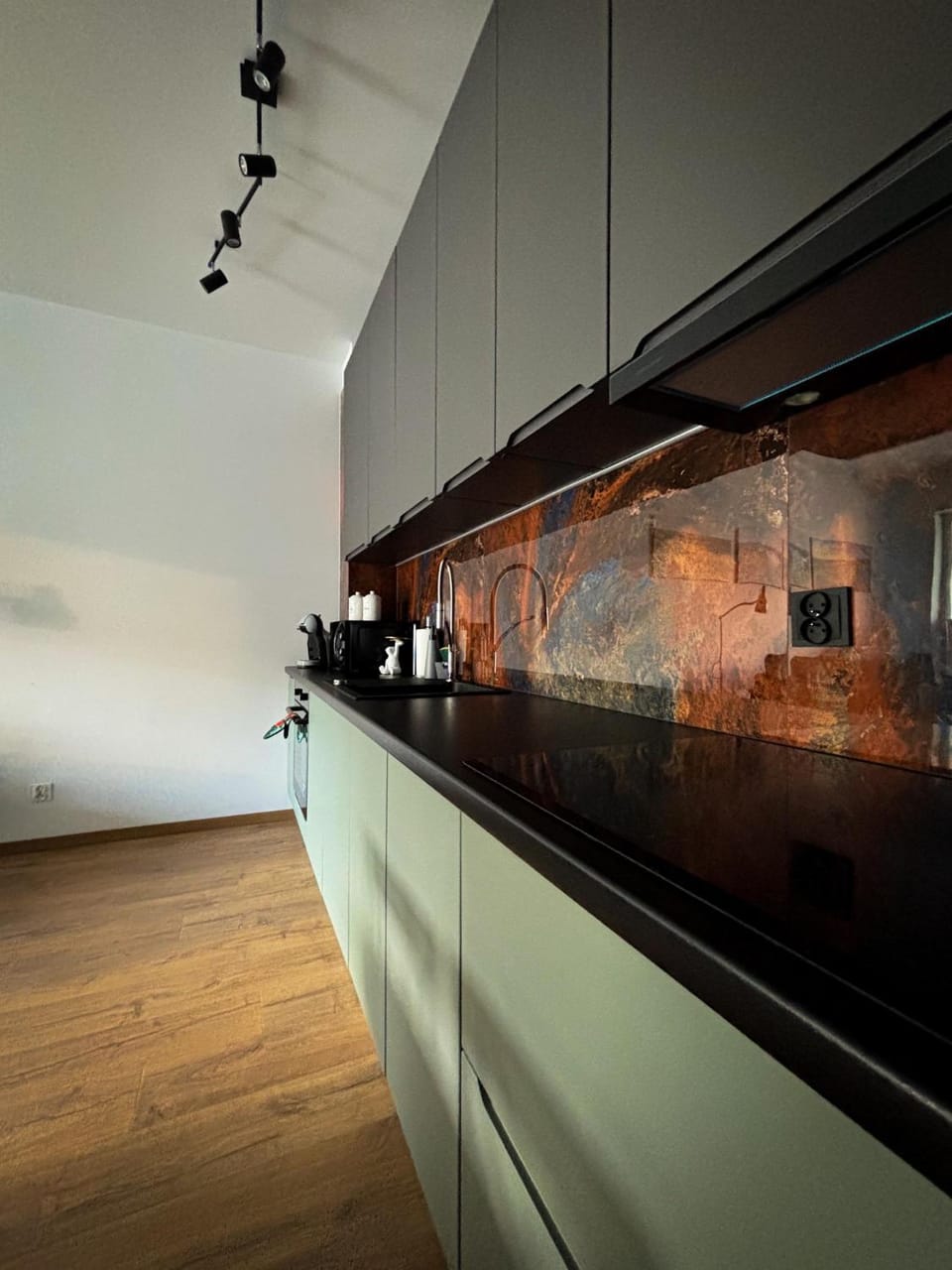 Polar Bear Apartment Apartment in Lithuania