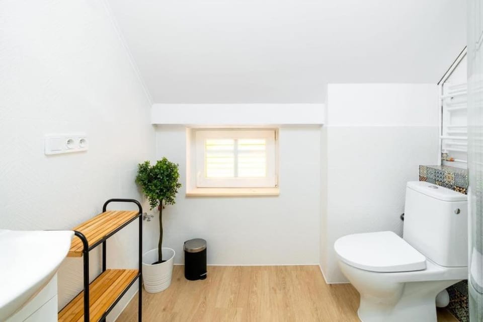 Toilet, Bathroom, bidet