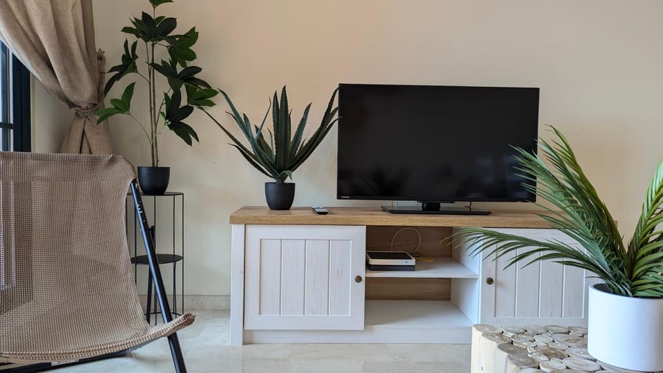 TV and multimedia