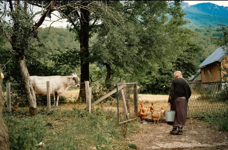 Domacinstvo Paprica Tjentiste House in Montenegro