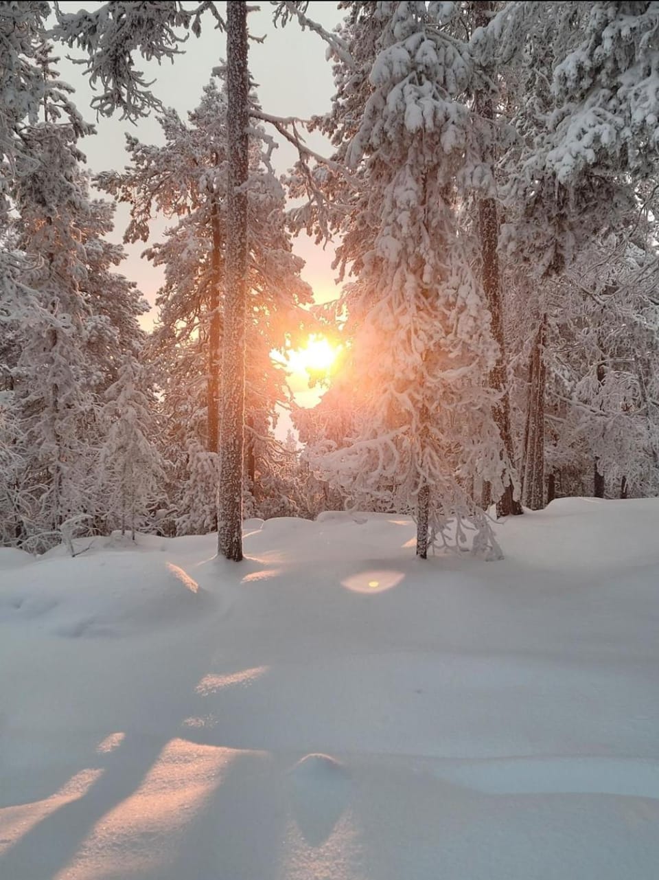 Mökki Kemijärvellä House in Lapland