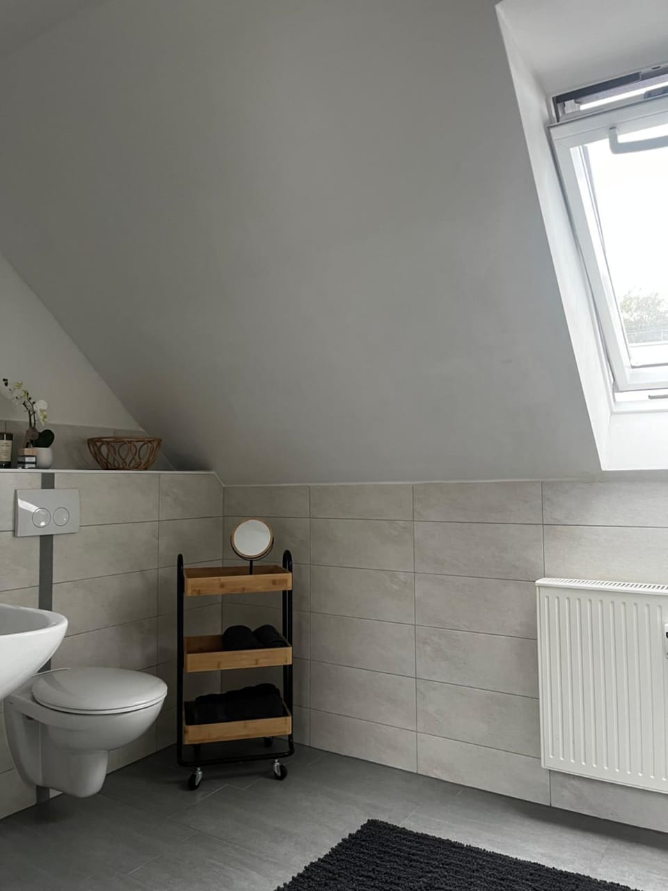 Toilet, Bathroom