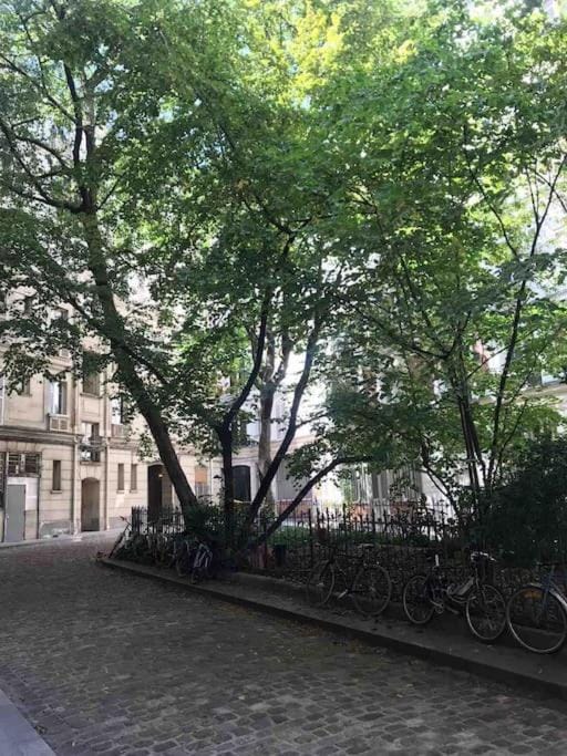 Garden, Garden view