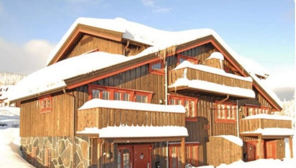Day, Winter, Skiing, Skiing