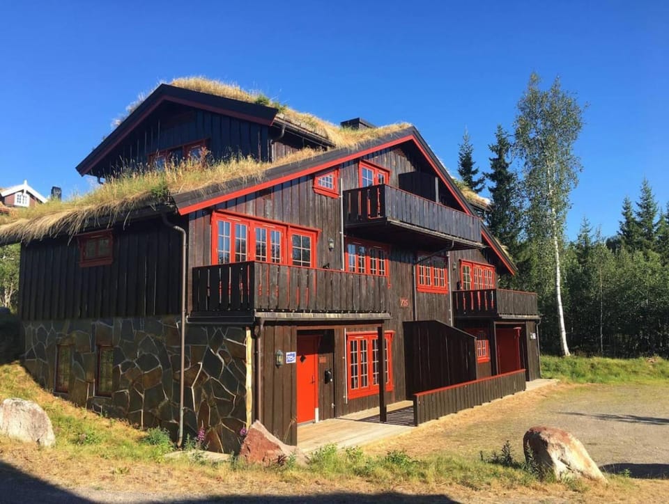 Property building, Summer