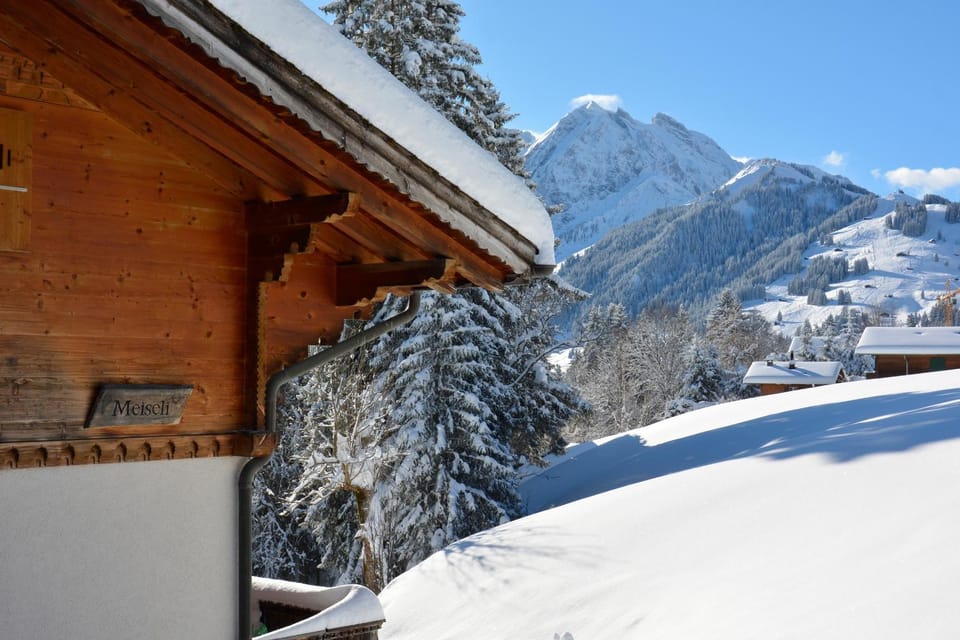 Chalet Meiseli Apartment in Adelboden