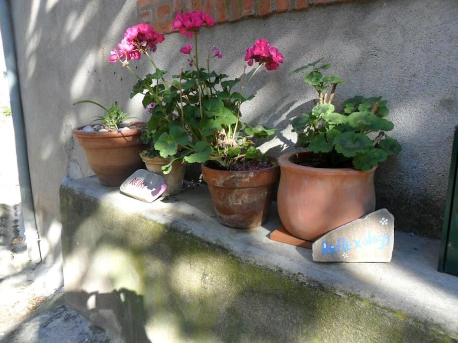 Ceps Cottage sleeps 6 with free wifi near the river House in Occitanie