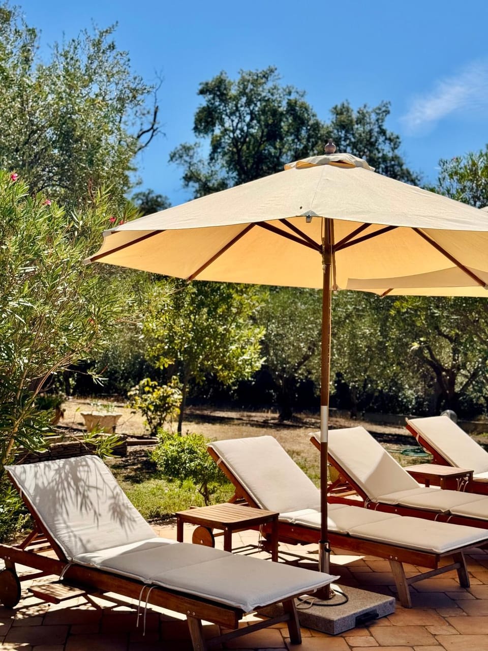 Garden, sunbed