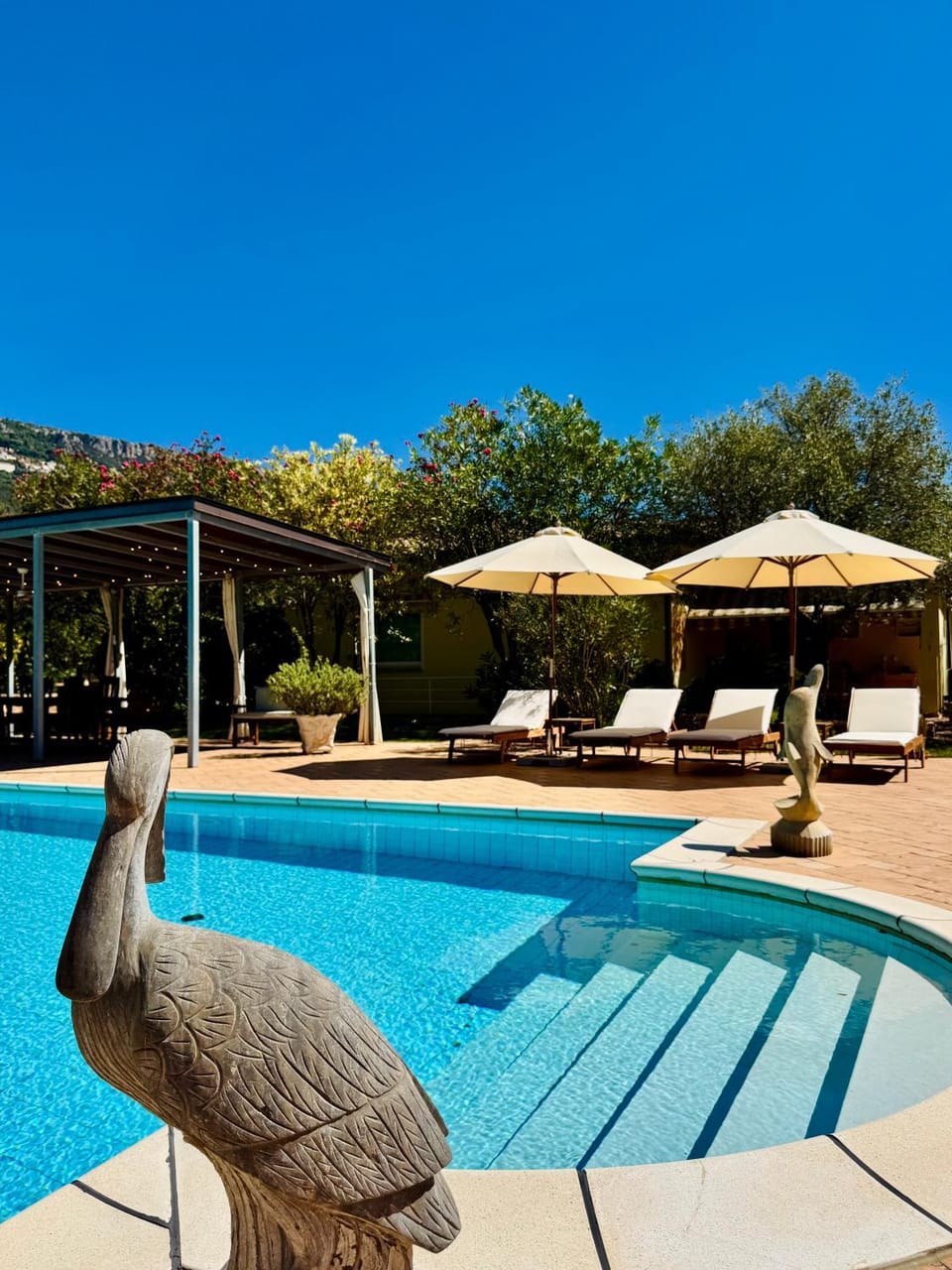 Day, Pool view, Swimming pool