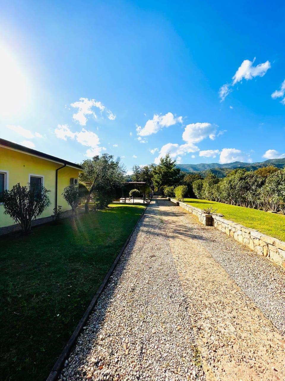 Day, Garden, Garden view