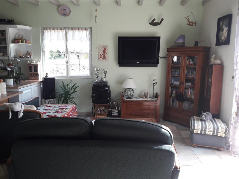 Communal lounge/ TV room, TV and multimedia, Living room