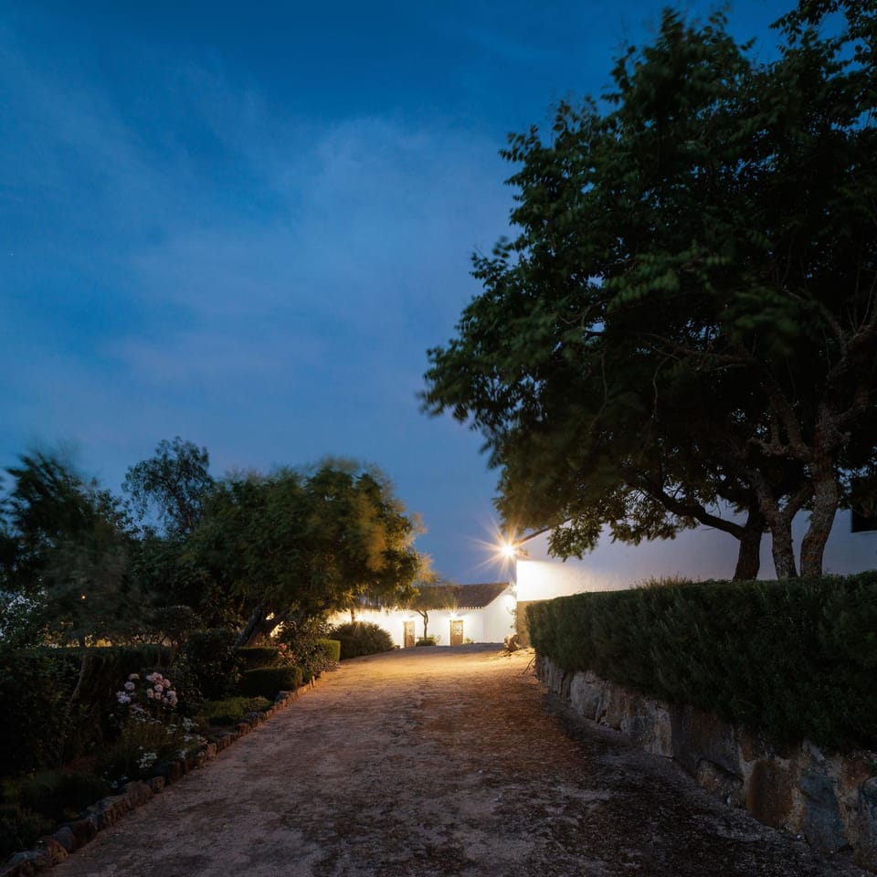 Property building, Garden, Garden