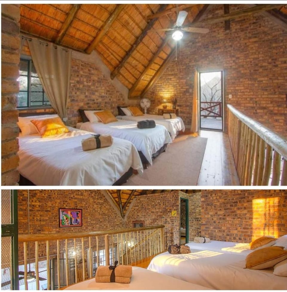 Ton & Trees Apartment in South Africa