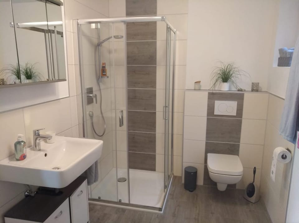 Shower, Toilet, Bathroom, towels