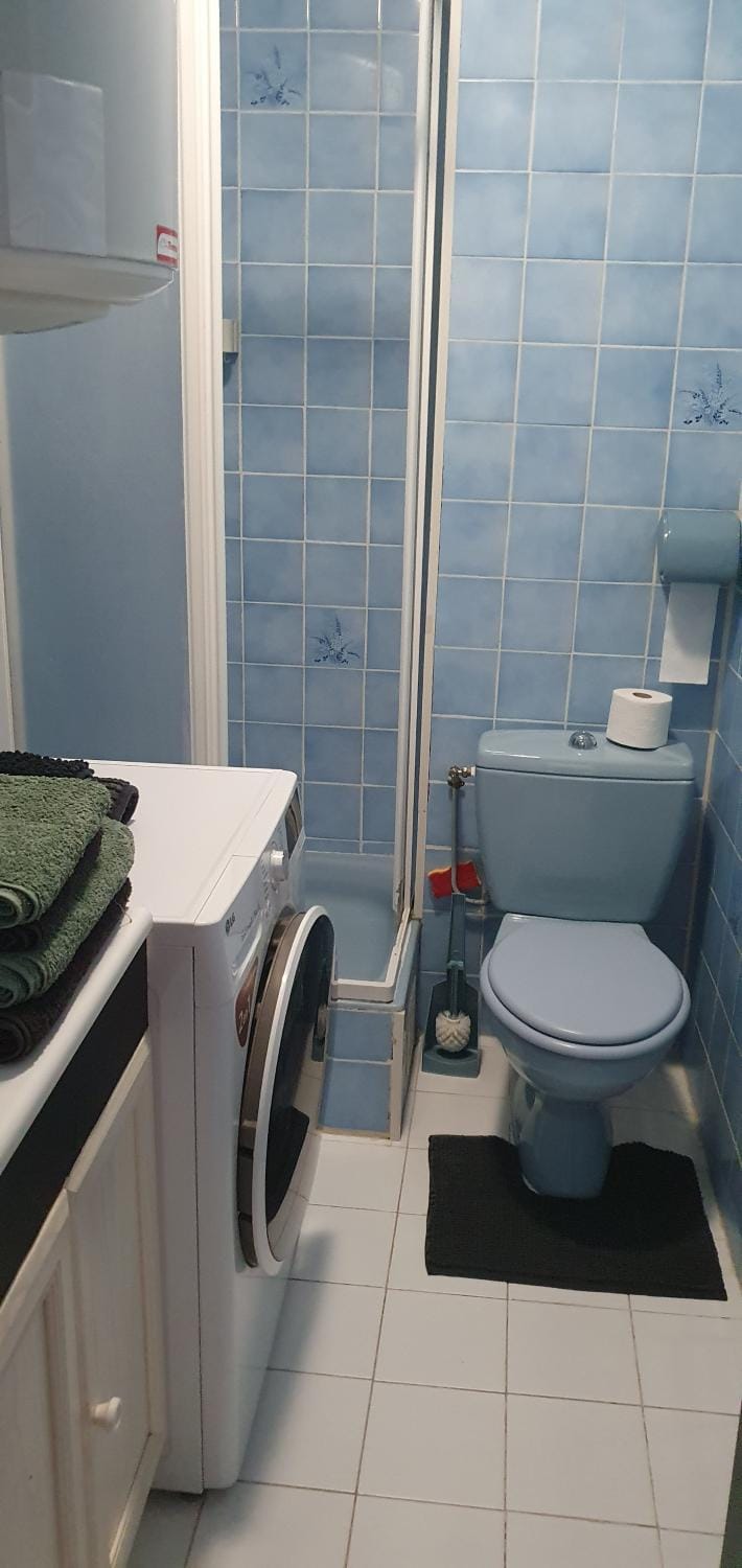 Toilet, Bathroom, washing machine