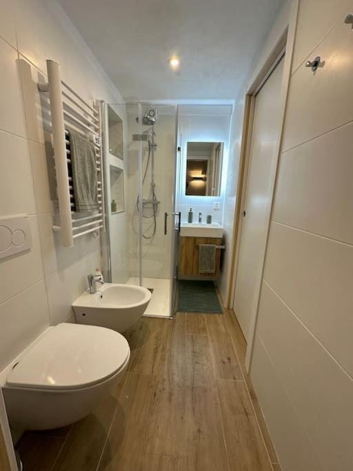 Shower, Toilet, Bathroom, bidet