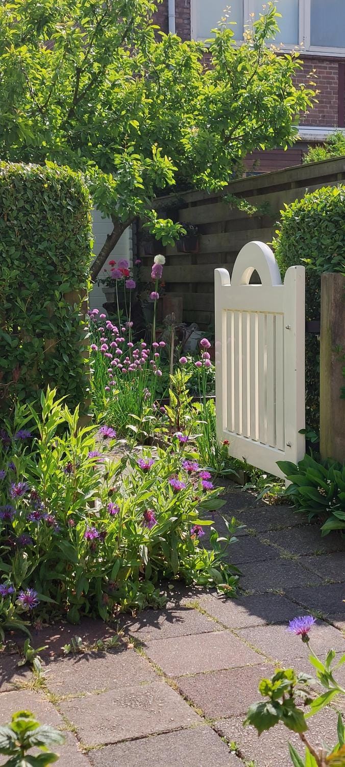 Garden, Garden view