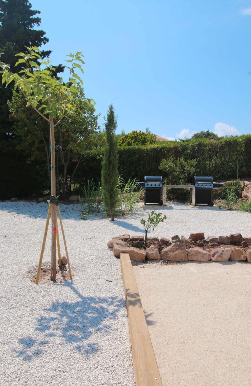 Spring, Natural landscape, Garden