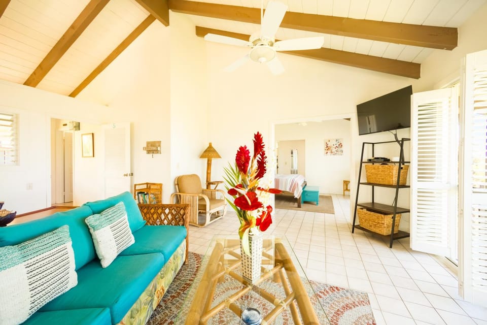 TV and multimedia, Living room, Photo of the whole room, Seating area, Evening entertainment