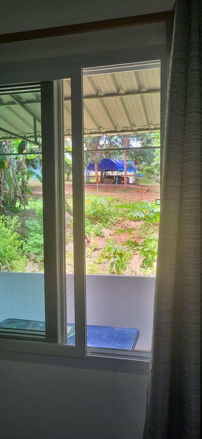Garden view