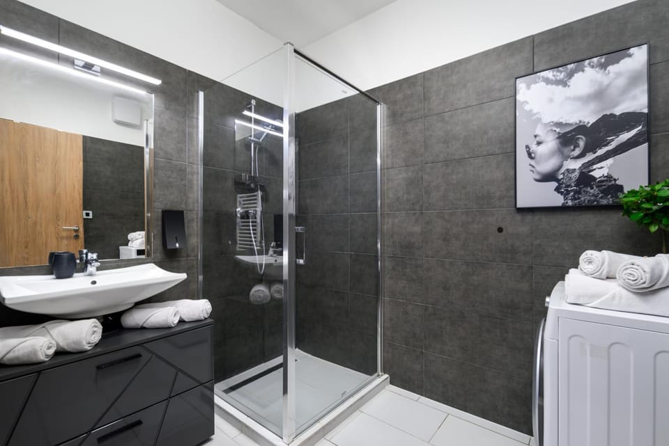 Shower, Toilet, Bathroom, dishwasher, hair dryier, heating, heating, towels, washing machine, elevator, air conditioner, air conditioner