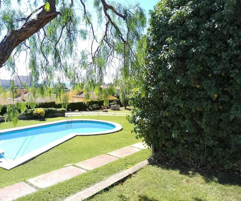 Natural landscape, Garden, Garden view, Pool view, Swimming pool