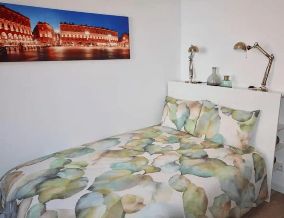 Tout Beau Tout Neuf Apartment in Toulouse