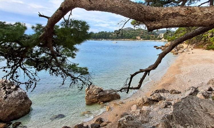 Mlini Dubrovnik-Sea view Studio Apartment in Mlini