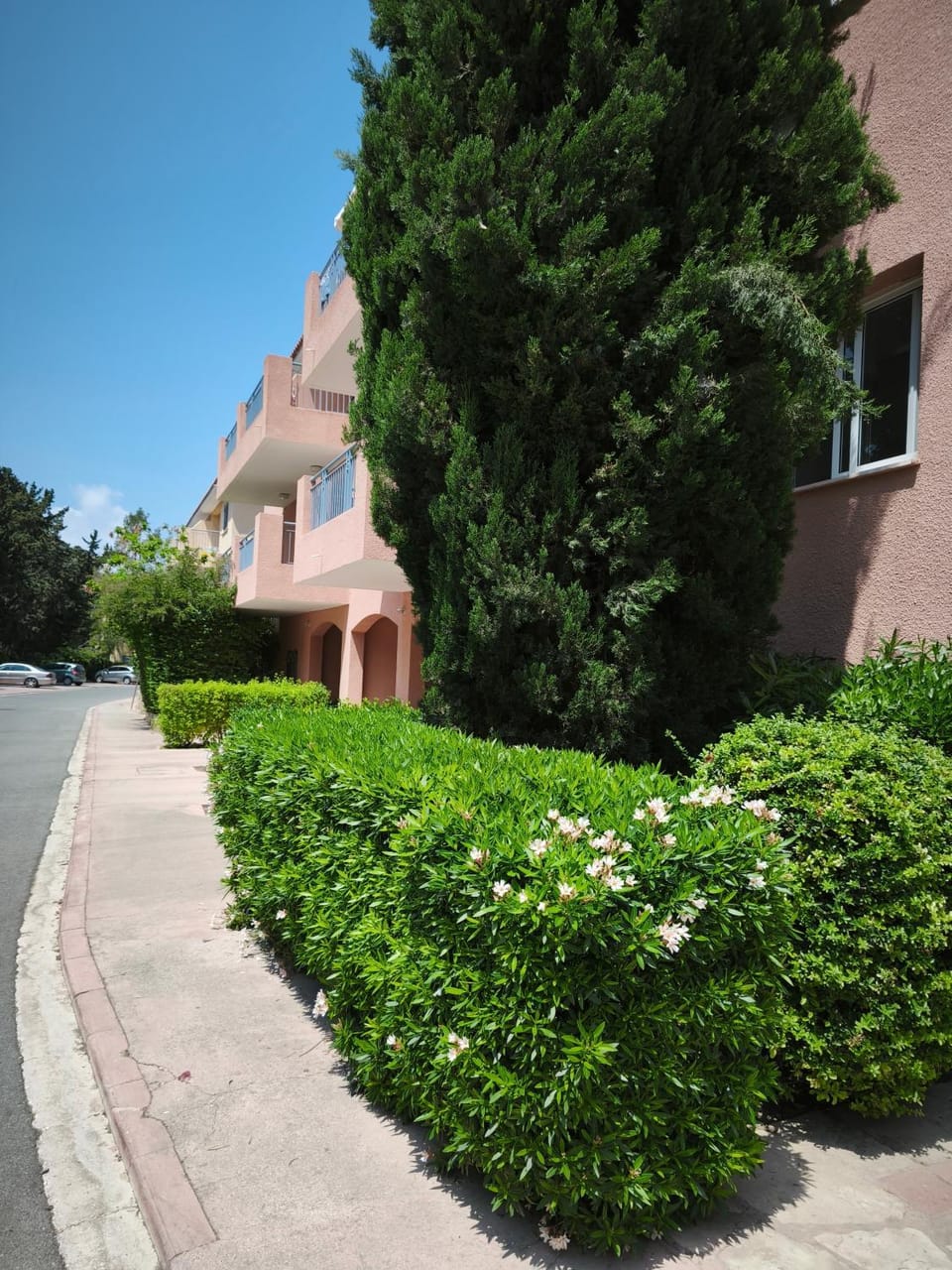 Paphos-Limnaria Garden Apartment in Paphos