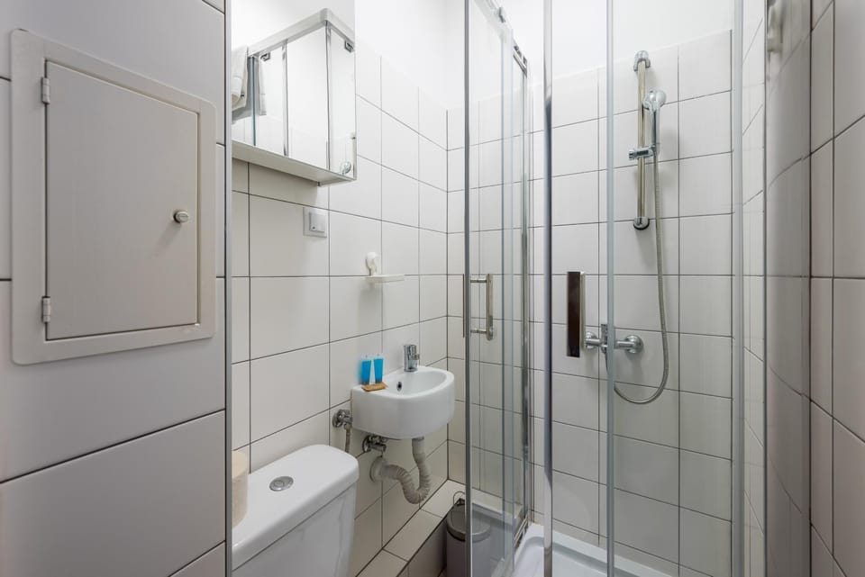Shower, Toilet, Bathroom, towels