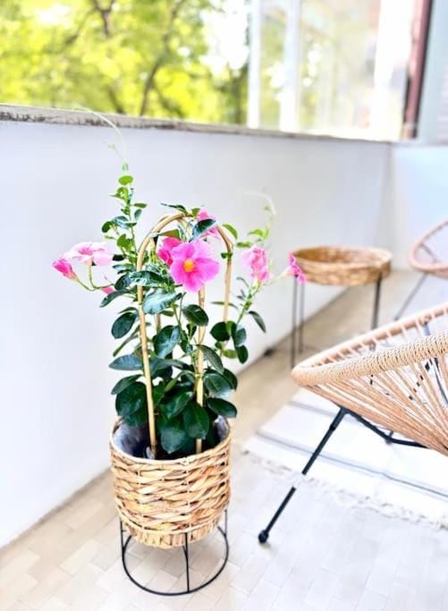 Libra Light Apartment in Friuli-Venezia Giulia