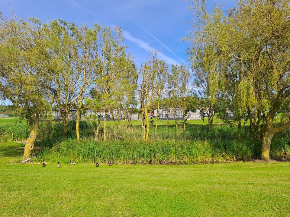 Spring, Day, Garden, Other, Garden view