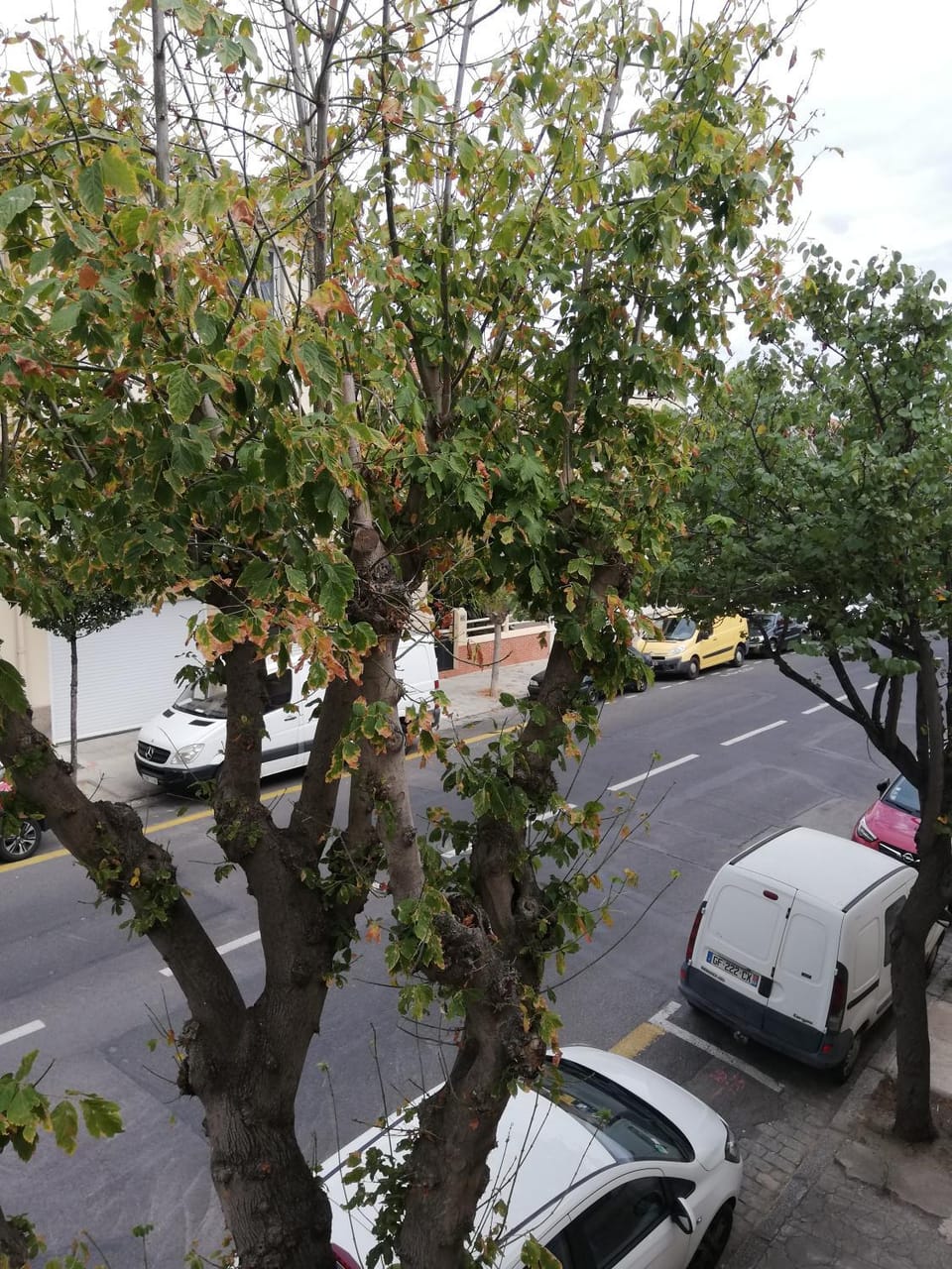 Property building, Neighbourhood, Street view