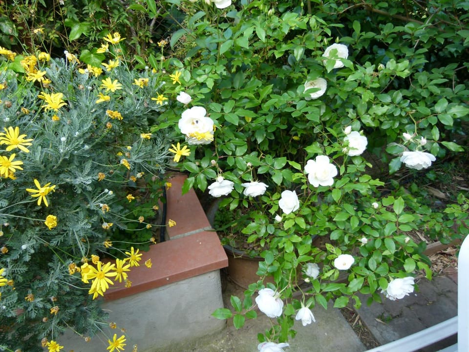 Garden, Garden view