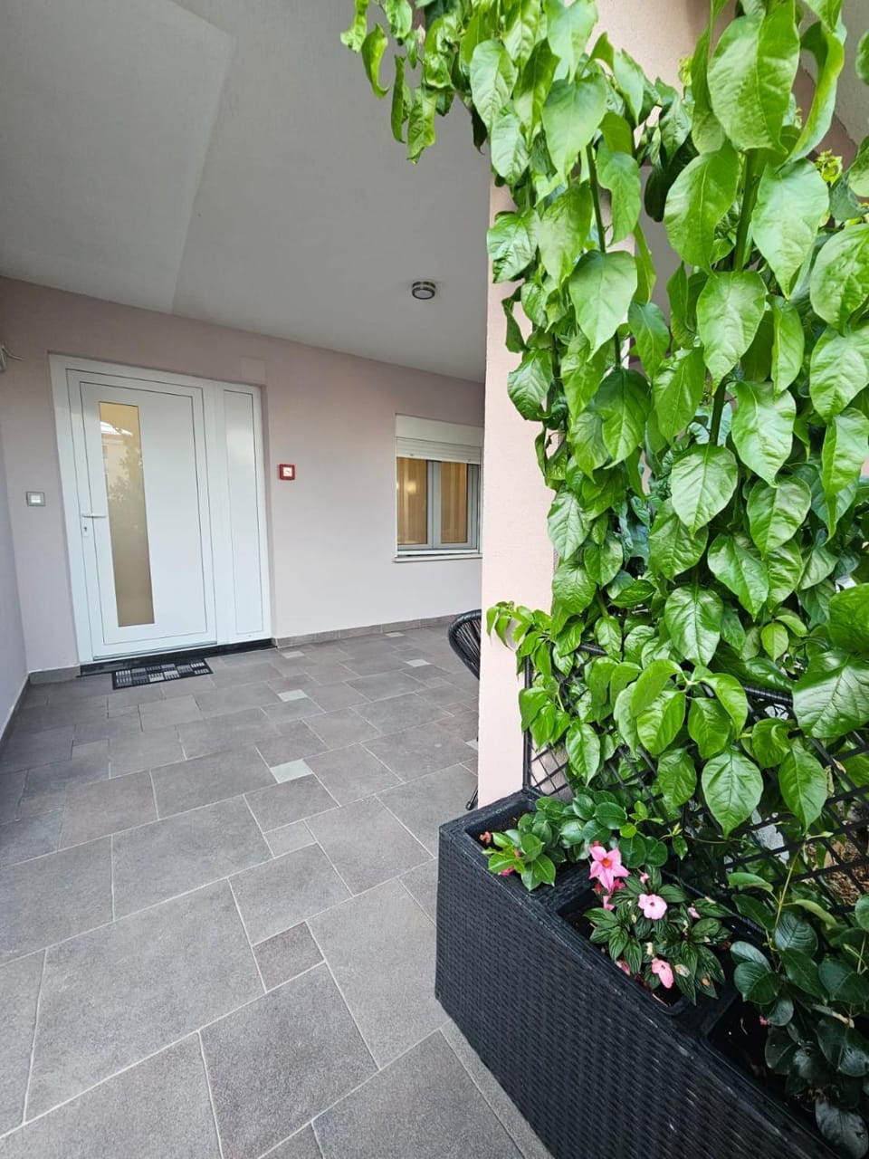 Luxury Apartment Ane Apartment in Zadar