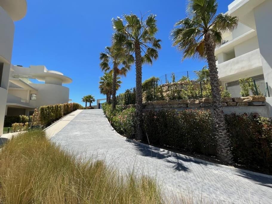 Property building, Garden, Garden view