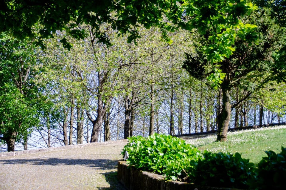 Natural landscape, Garden, Garden view