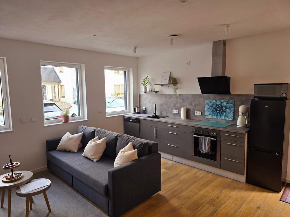 Kitchen or kitchenette, Living room, pet friendly, stove