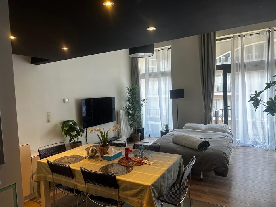cozy casa d'anvers op een unieke toplocatie Apartment in Antwerp