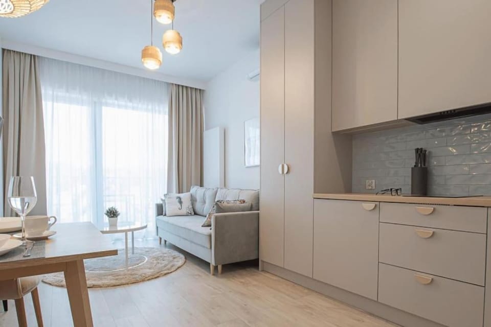 Kitchen or kitchenette, Living room, Seating area, Dining area