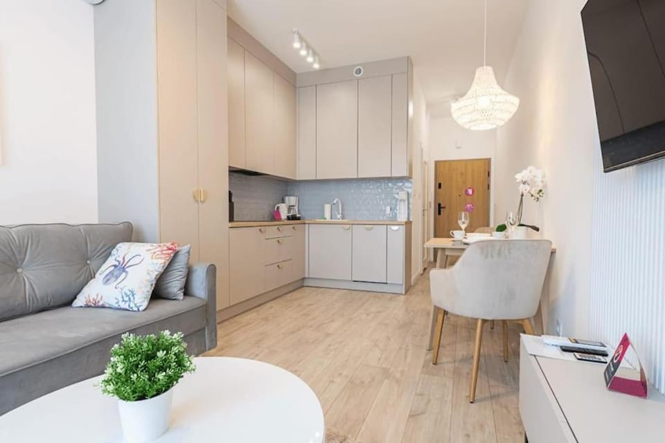 TV and multimedia, Kitchen or kitchenette, Living room, Seating area, Dining area, minibar, oven, pet friendly, stove