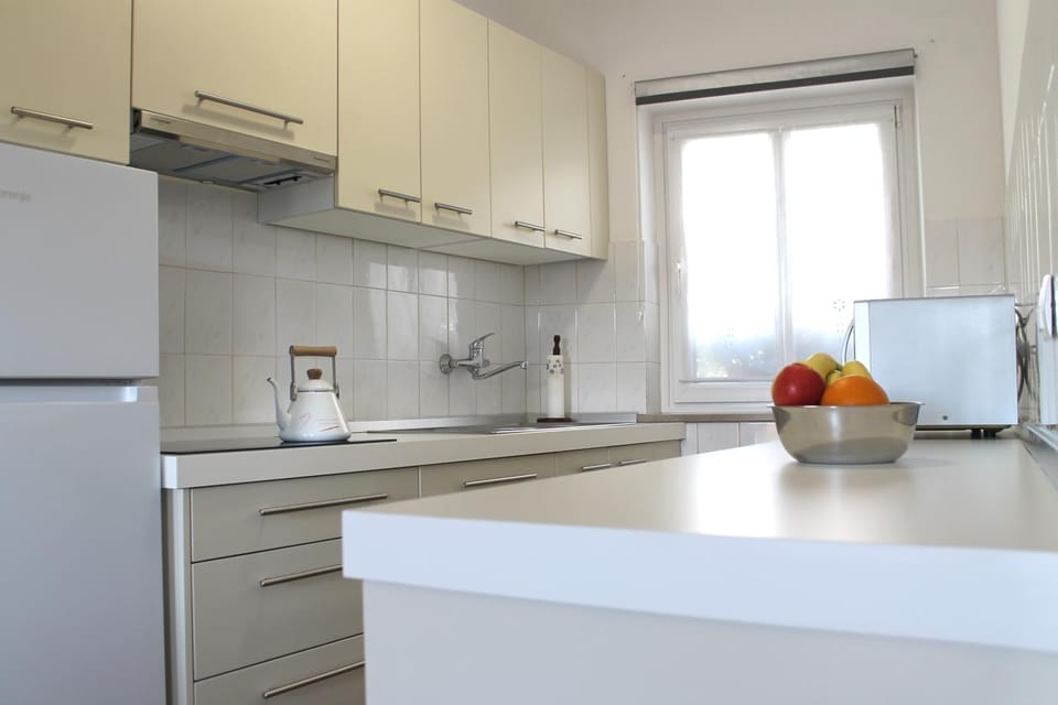 Kitchen or kitchenette, dishwasher, stove